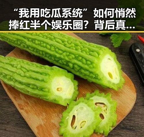51黑料网