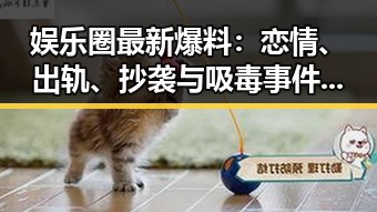 51黑料网