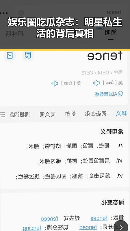 51黑料网
