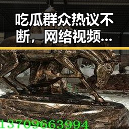 吃瓜群众热议不断，网络视频成为新战场